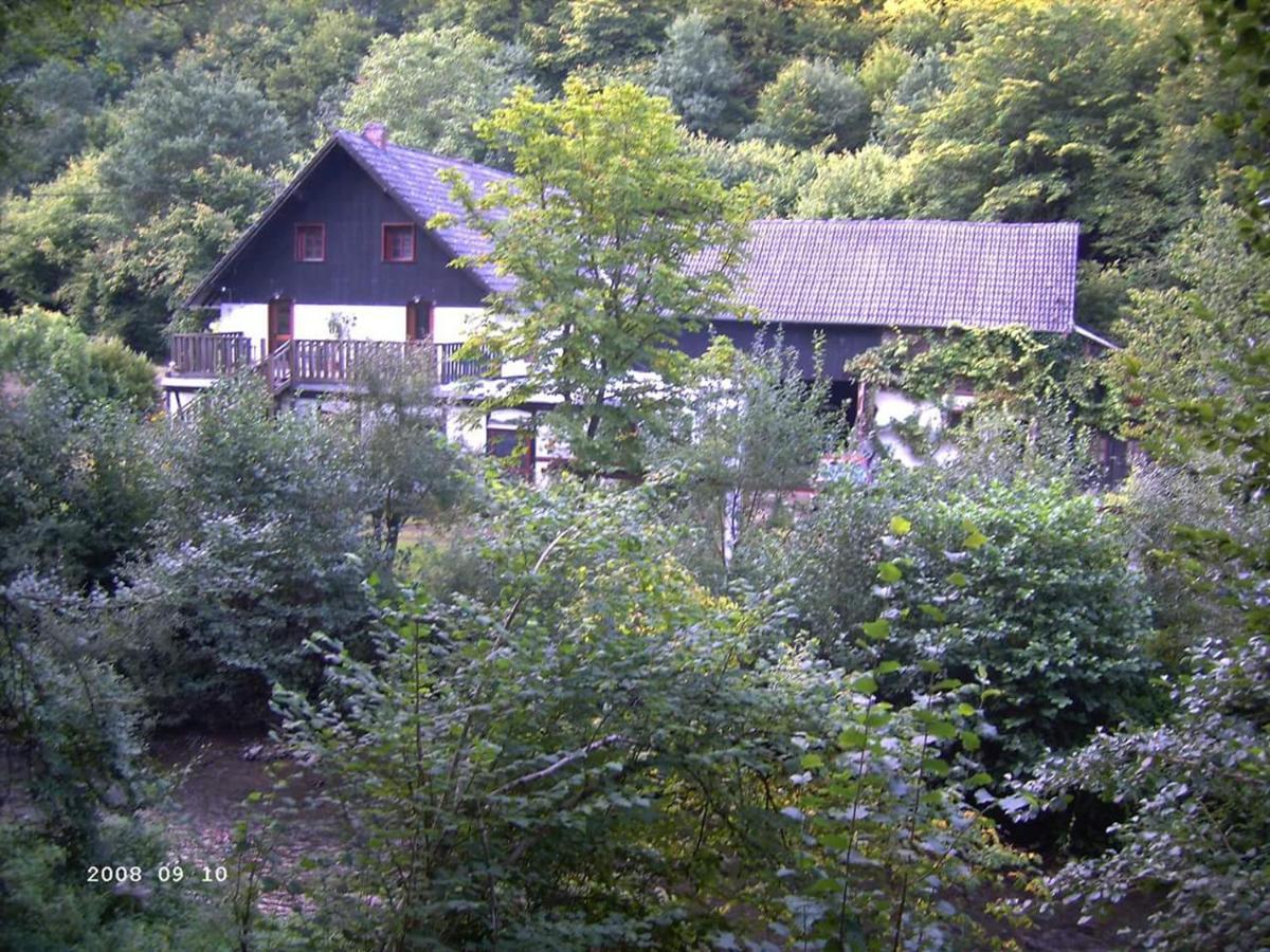 Neumuehle Ferienwohnung 2 Lutzerath Exterior foto